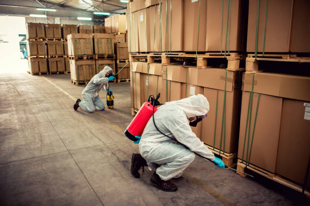 Best Affordable Pest Control Services  in Eagle Lake, TX