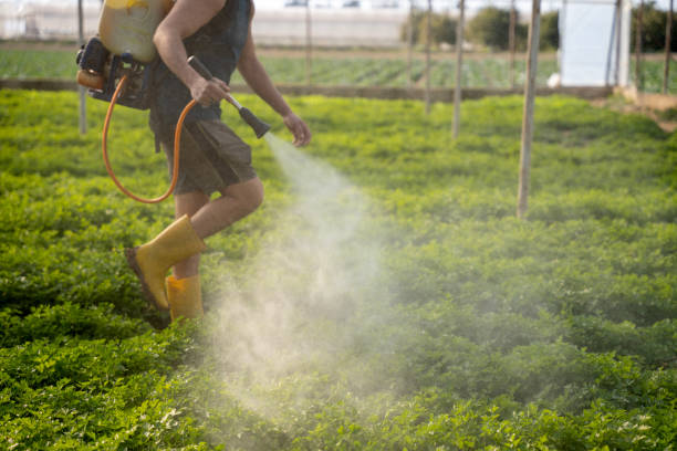 Best Exterminator Services  in Eagle Lake, TX